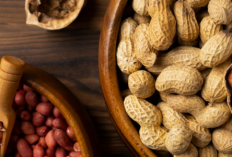 Kekuatan Nutrisi Kacang Tanah untuk Menetralisir Fungsi Tubuh