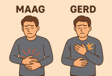  Jangan salah, Maag dan GERD Bukan Penyakit yang Sama! Dr. Zaidul Akbar Berbagi Resep Untuk Mengobatinya