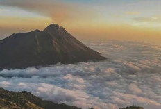 Mendaki Gunung Merbabu Saat Bulan Puasa? Ini Tips Aman dan Nyaman Agar Tetap Kuat Sampai Puncak