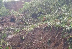 Longsor tebing 30 meter tutup akses dua kecamatan Material sulit dievakuasi, perlu alat berat kecil