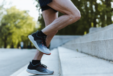 Nyaman di Setiap Kilometer: Trik Memilih Sepatu Lari untuk Pemula dan Pelari Berpengalaman