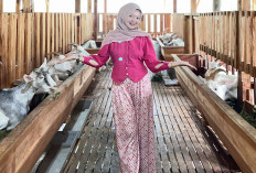 Muda, Beda, dan Berdaya, Gen Z Sukses Bangun Bisnis Peternakan Domba Perah, Omset Harian jadi Passive Income