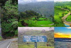 Panduan Lengkap Eksplorasi Alam Ciwidey: Destinasi Terpopuler di Tahun 2026