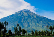 Gunung Sumbing dan Segala Keajaibannya: Alasan di Balik Julukan Surga Tersembunyi di Tanah Jawa