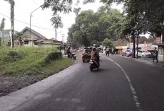 Lupa Jadi Alasan Utama Warga Menunggak Pajak, P3DW Banjar Catat Angka Kendaraan Tidak Daftar Ulang Menurun