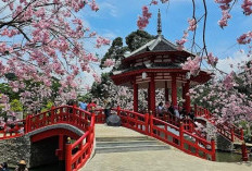 Liburan Rasa Luar Negeri: Panduan Lengkap Main ke MiniMania Puncak, Destinasi Terhits 2026