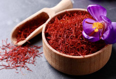 Kenapa Saffron Mahal Banget? Ternyata Ini Sederet Manfaatnya yang Nggak Main-Main buat Tubuh