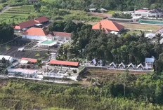 Disangka Bekas Tambang, Ternyata Surga Hijau! Tampomas Eco Park Bikin Wisatawan Terpukau