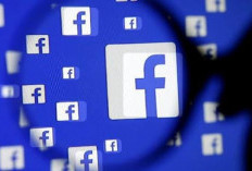 Ladang Baru di Halaman Lama:Mengapa FB Pro Adalah Kesempatan Kedua Bagi Kreator yang 'Gagal' di TikTok