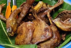 Rela Antre Berjam-jam! Mengintip Rahasia Kelezatan Ayam Goreng Warung Doyong Bogor yang Viral