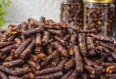 Jangan Kaget! Modal Kulit Lumpia Bisa Jadi Camilan Mewah, Ini Cara Buatnya