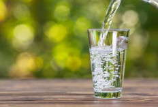 Sering Dianggap Sepele, Minum Air Putih Cukup Tiap Hari Ternyata Jaga Tubuh dari Kepala hingga Ginjal