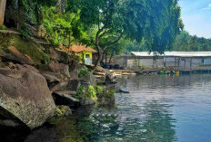 Update 2026: Mata Air Cikandung, Oase Alami Sumedang untuk Healing Murah dan Menenangkan Pikiran