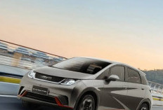 Si Lincah Penakluk Kota: Mengapa BYD Dolphin Jadi Hatchback Listrik Terlaris di 2026