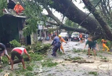 BPBD Kota Tasikmalaya Tetapkan Status Tanggap Darurat Bencana, Akan Diberlakukan Selama Lima Hari