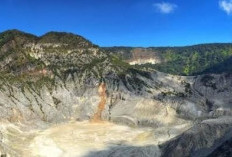 OOTD di Atas Awan: Panduan Berburu Foto Estetik di Gunung Tangkuban Perahu Bandung