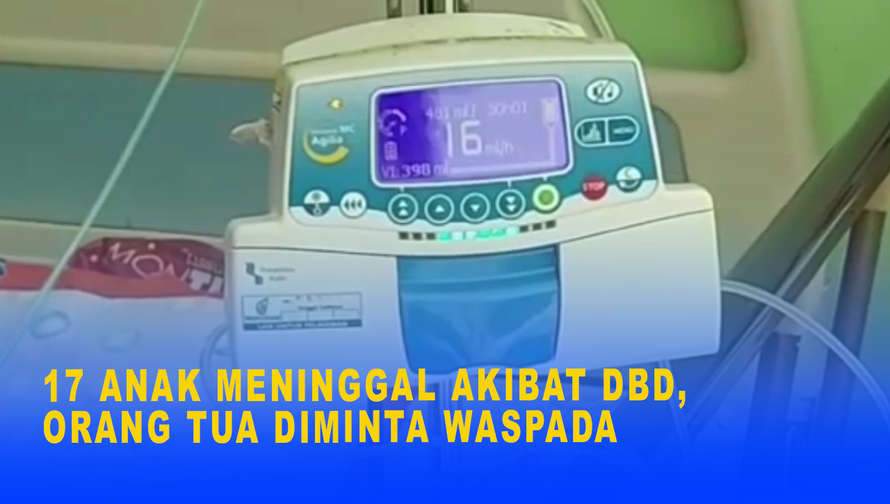 17 ANAK MENINGGAL AKIBAT DBD, ORANG TUA DIMINTA WASPADA