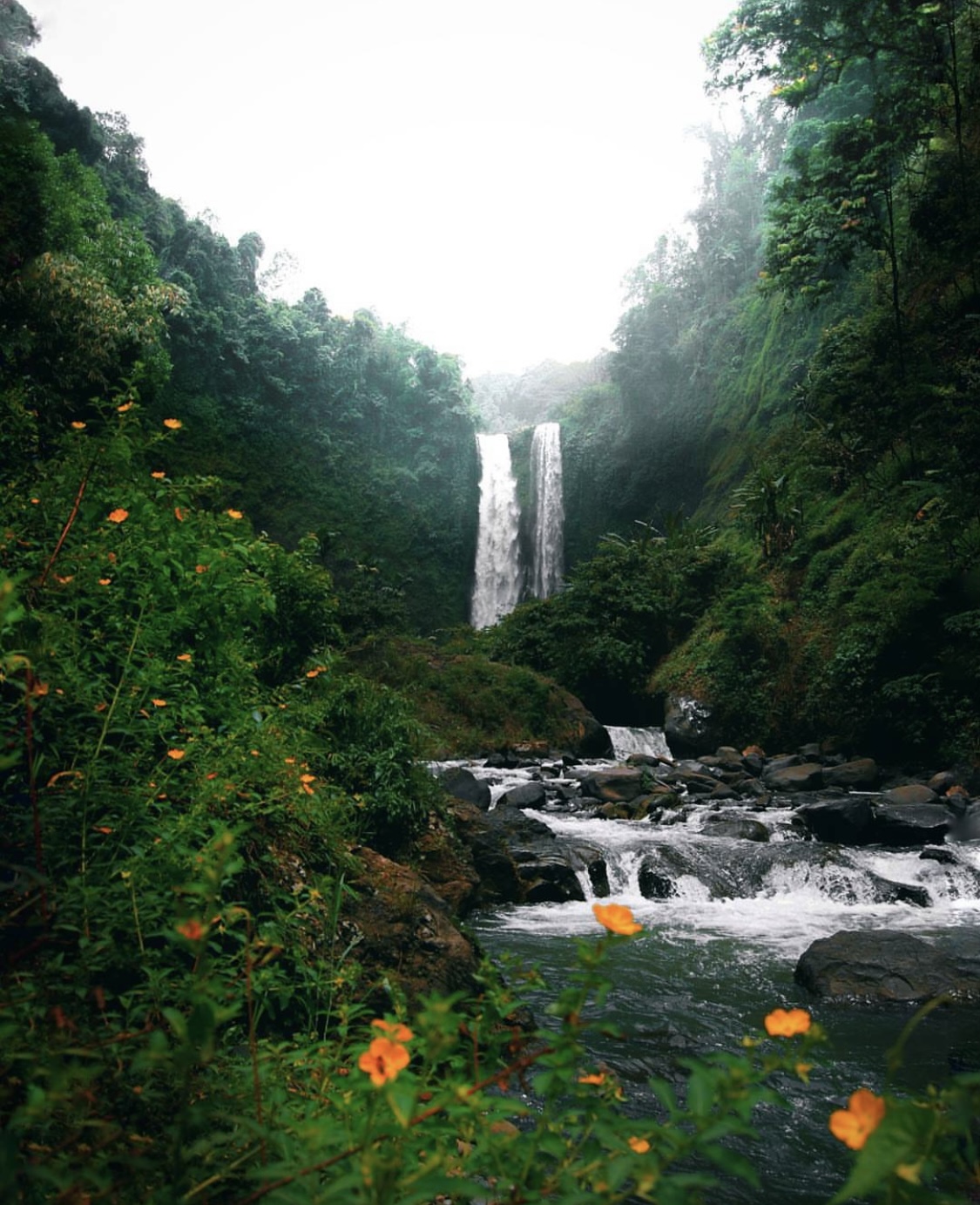 Curug Terdekat di Jawa Barat Buat Healing, Cek disini!