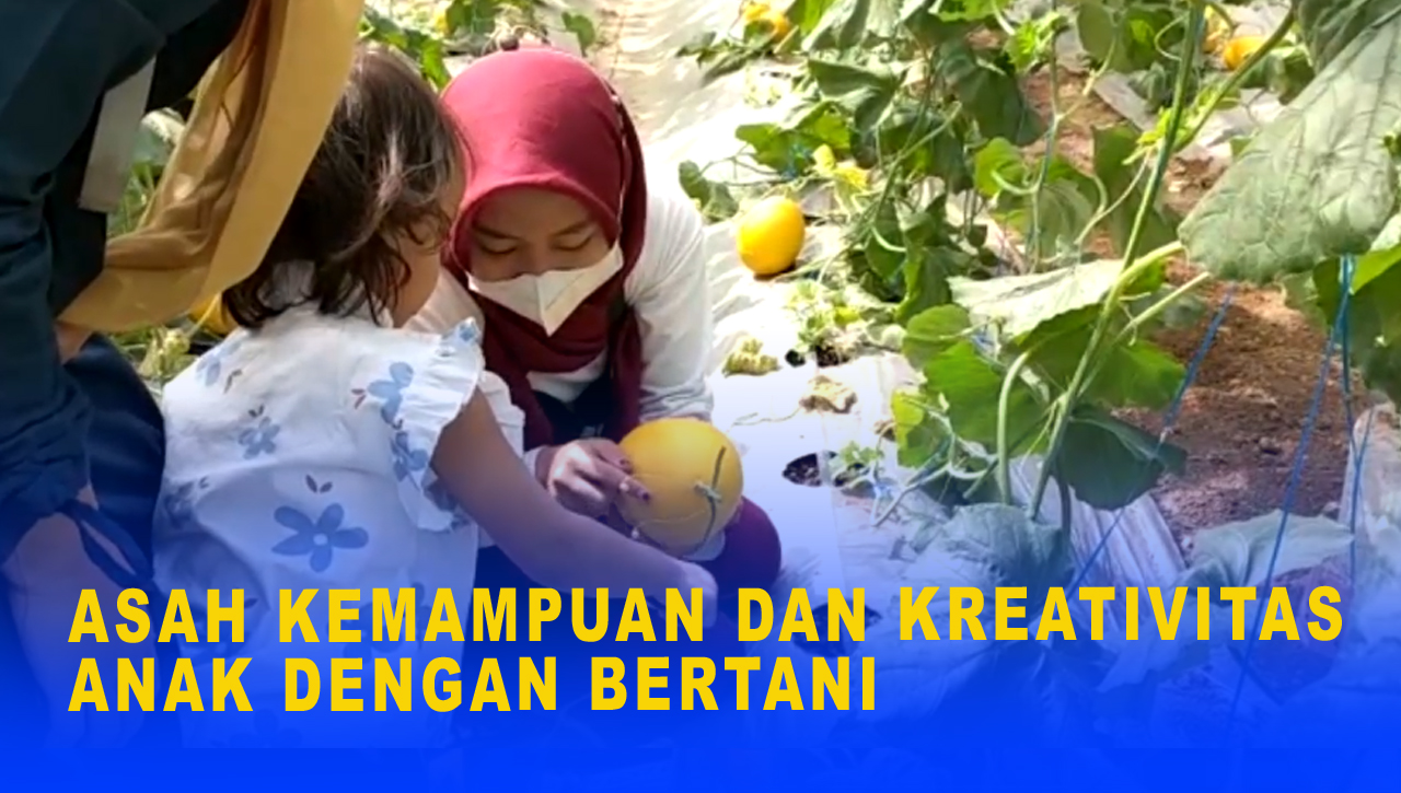 ASAH KEMAMPUAN DAN KREATIVITAS ANAK DENGAN BERTANI