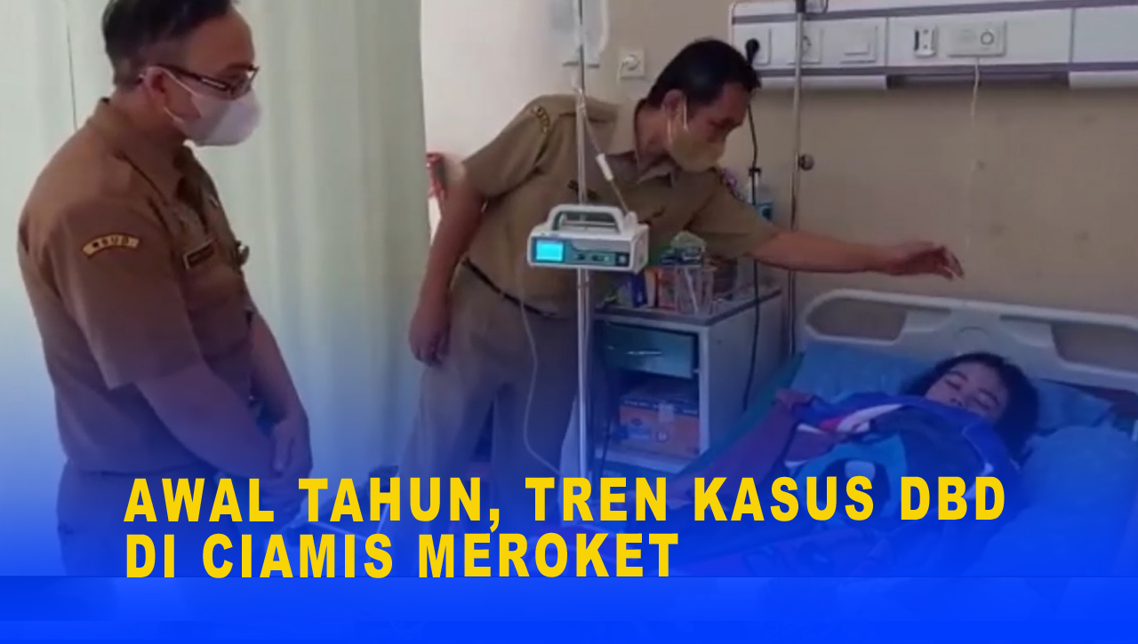 AWAL TAHUN, KASUS DBD DI CIAMIS MEROKET