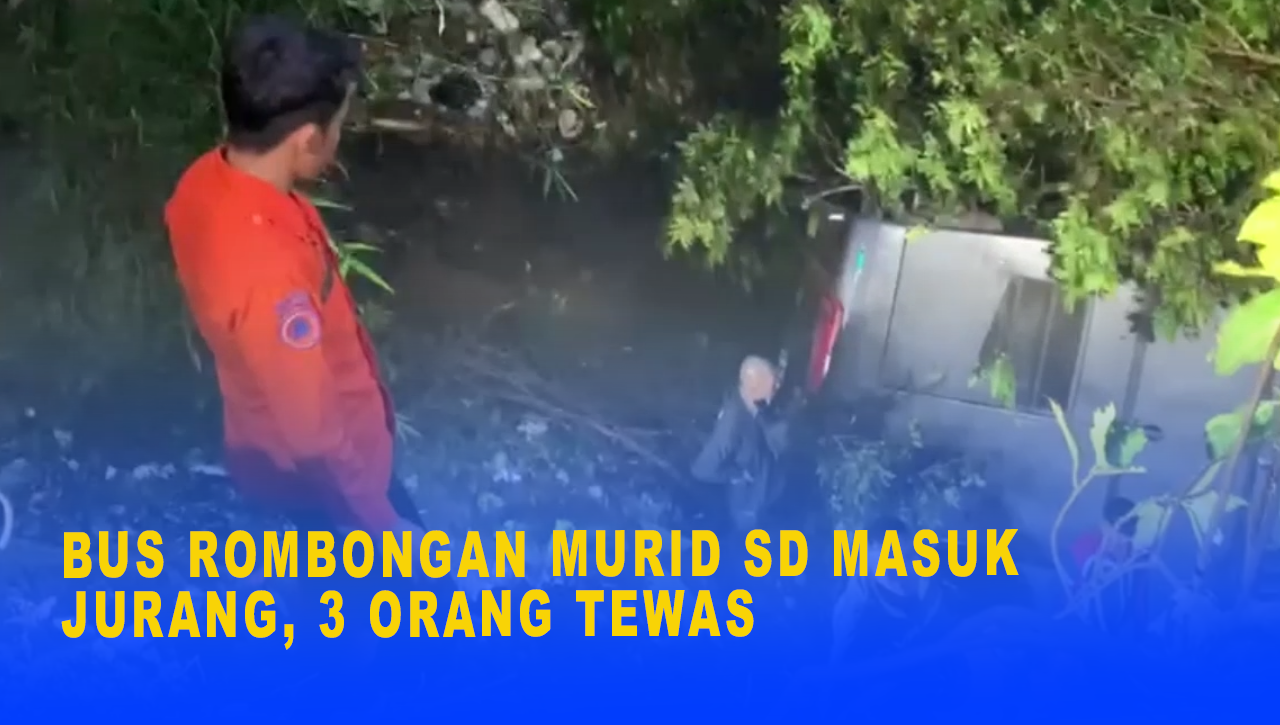 BUS ROMBONGAN MURID SD MASUK JURANG, 3 ORANG TEWAS