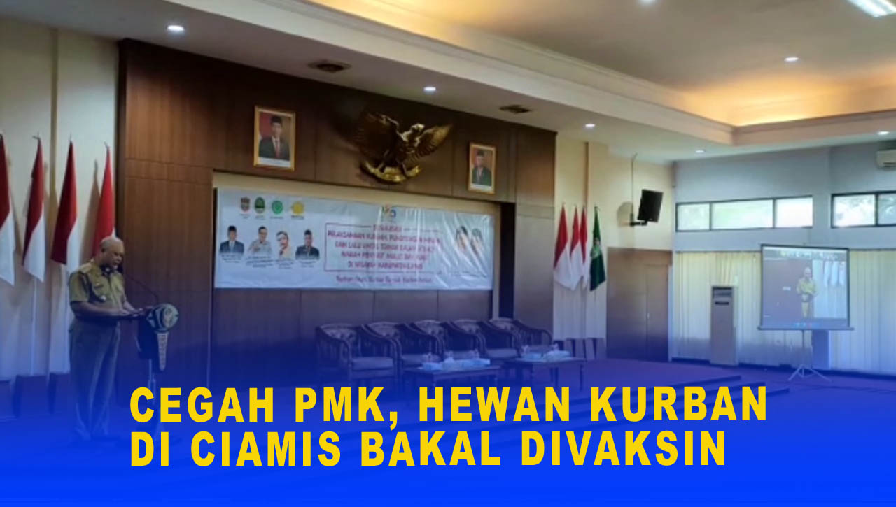 CEGAH PMK, HEWAN KURBAN DI CIAMIS BAKAL DIVAKSIN