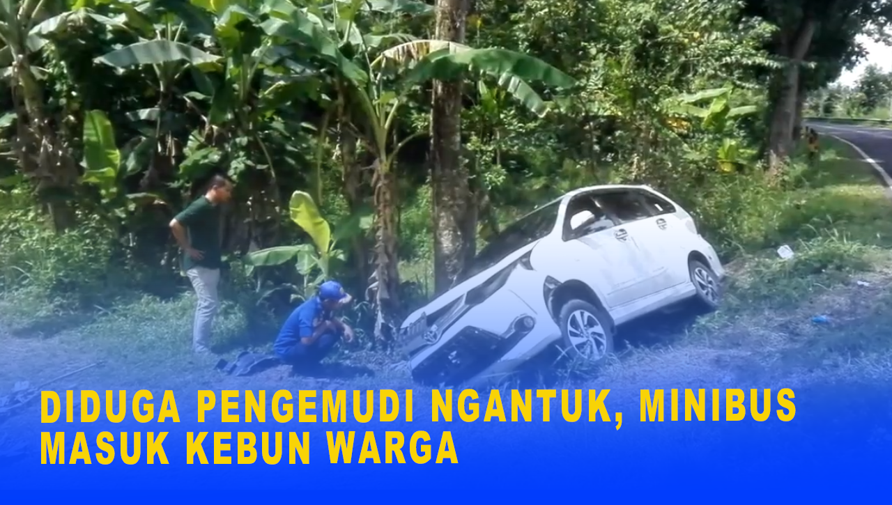 DIDUGA PENGEMUDI NGANTUK, MINIBUS MASUK KEBUN WARGA