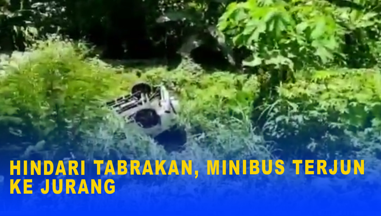 HINDARI TABRAKAN, MINIBUS TERJUN KE JURANG