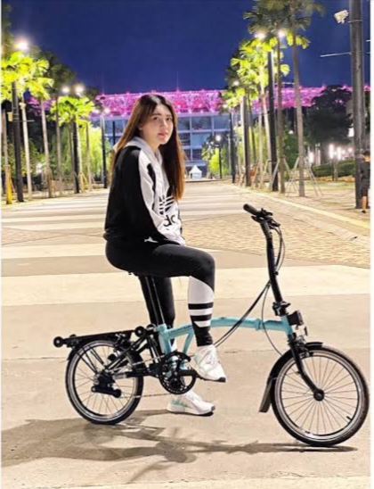 Berapa Sih Harga Sepeda Brompton Termahal, Benar Seharga DP Rumah DiKawasan Elite