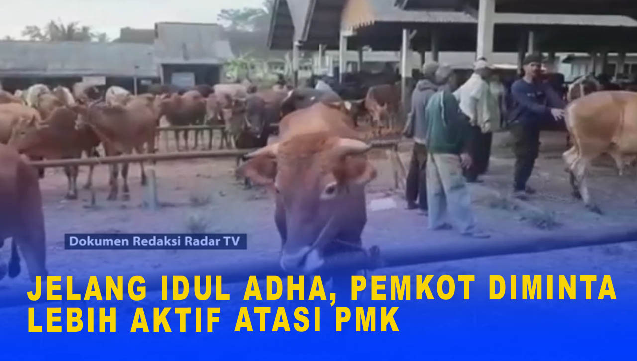 JELANG IDUL ADHA, PEMKOT DIMINTA LEBIH AKTIF ATASI PMK