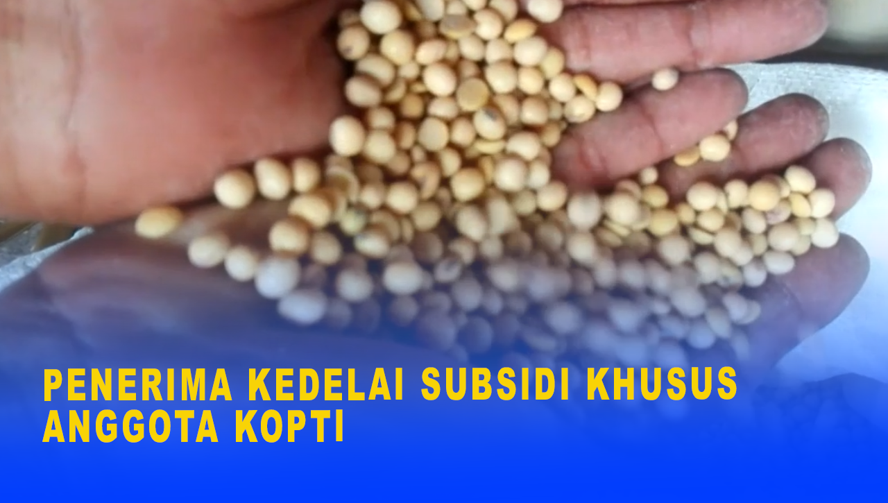 PENERIMA KEDELAI SUBSIDI KHUSUS ANGGOTA KOPTI