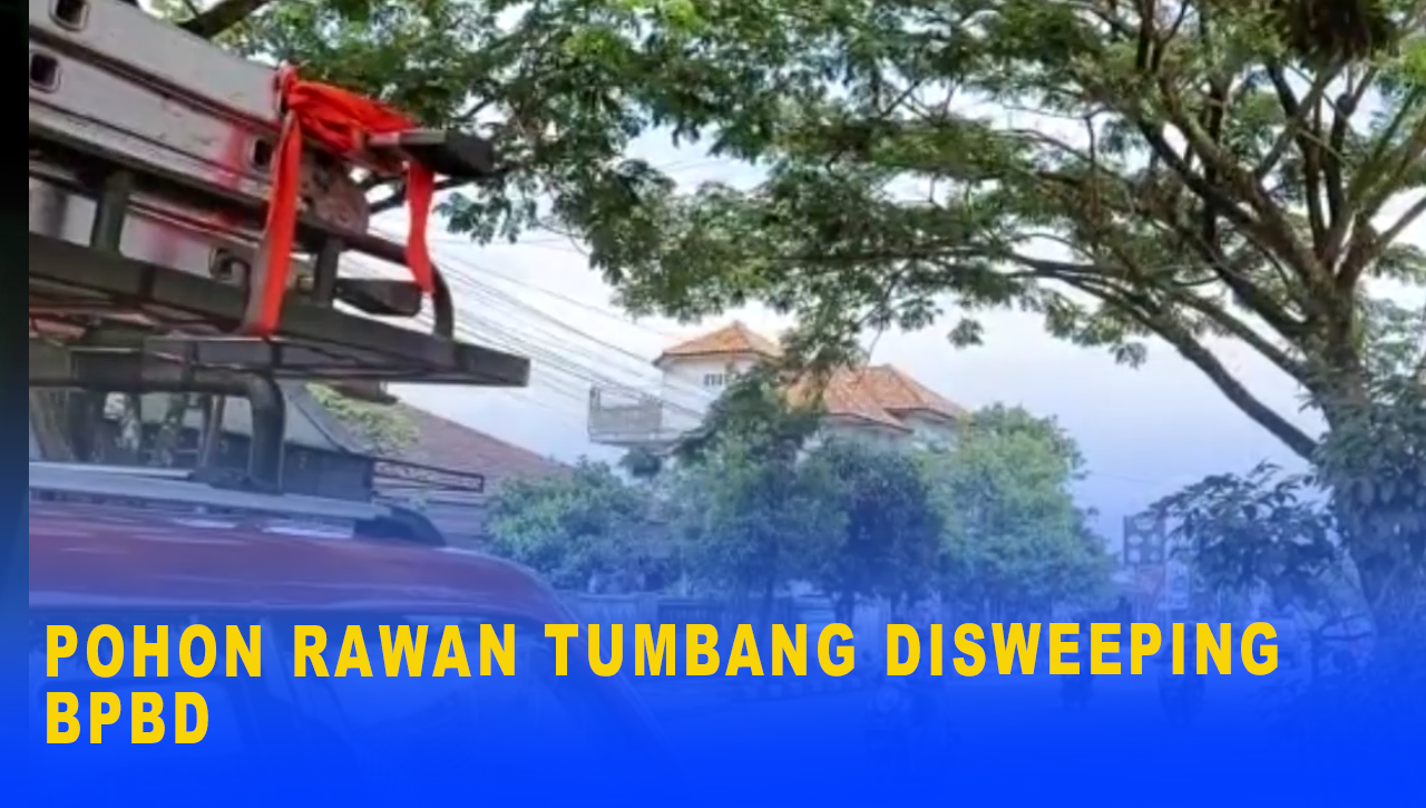 POHON RAWAN TUMBANG DISWEEPING BPBD