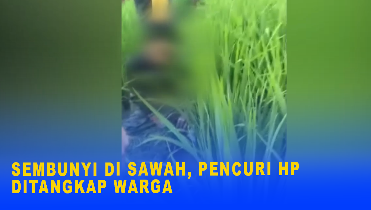 SEMBUNYI DI SAWAH, PENCURI HP DITANGKAP WARGA