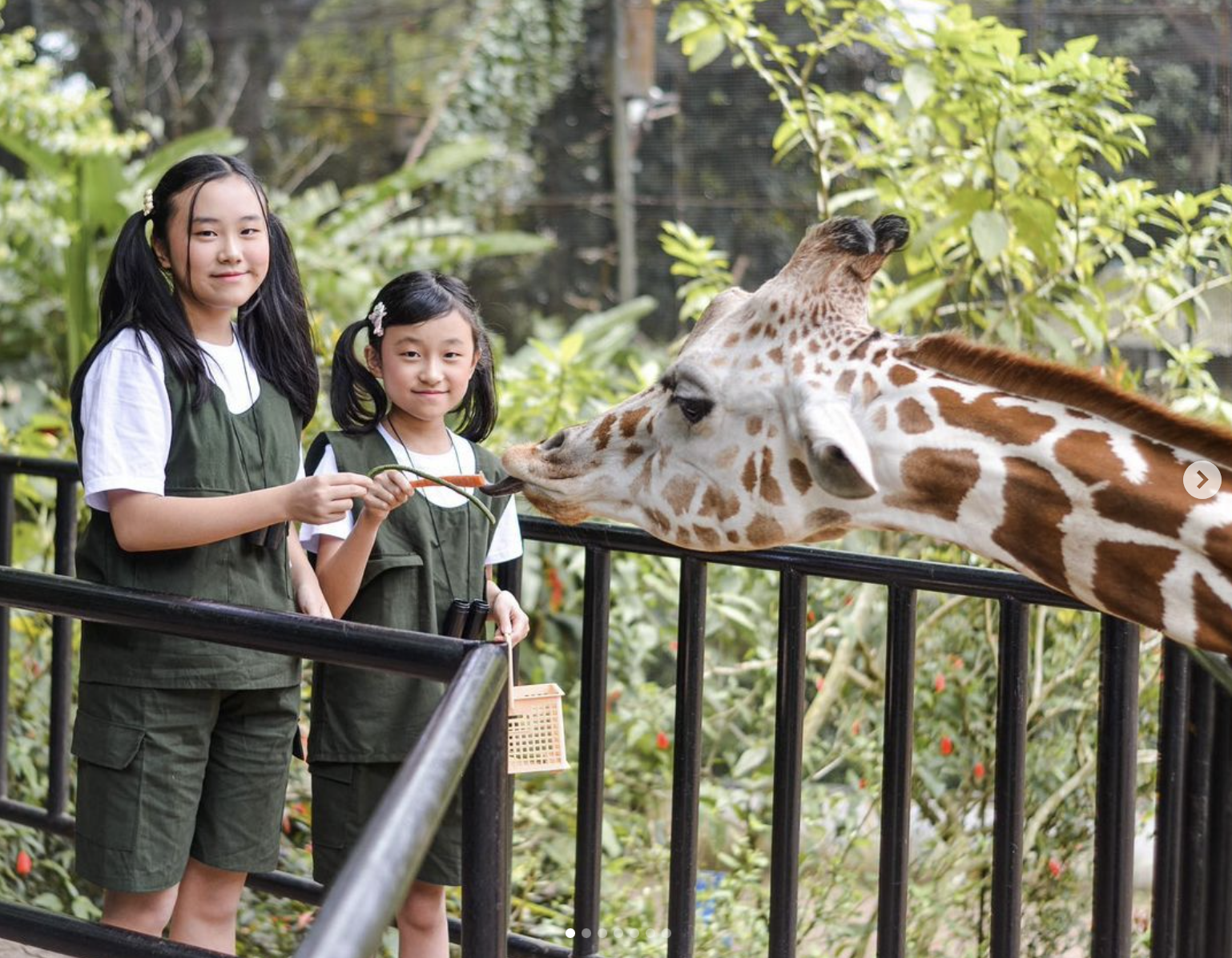 Harga Tiket Naik, Ini Informas Baru Kebun Binatang Bandung