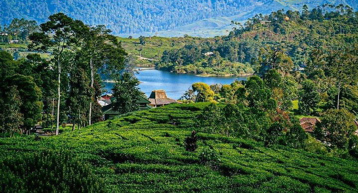 Ciwidey: Wisata Sejuk di Tengah Pesona Alam yang Menakjubkan