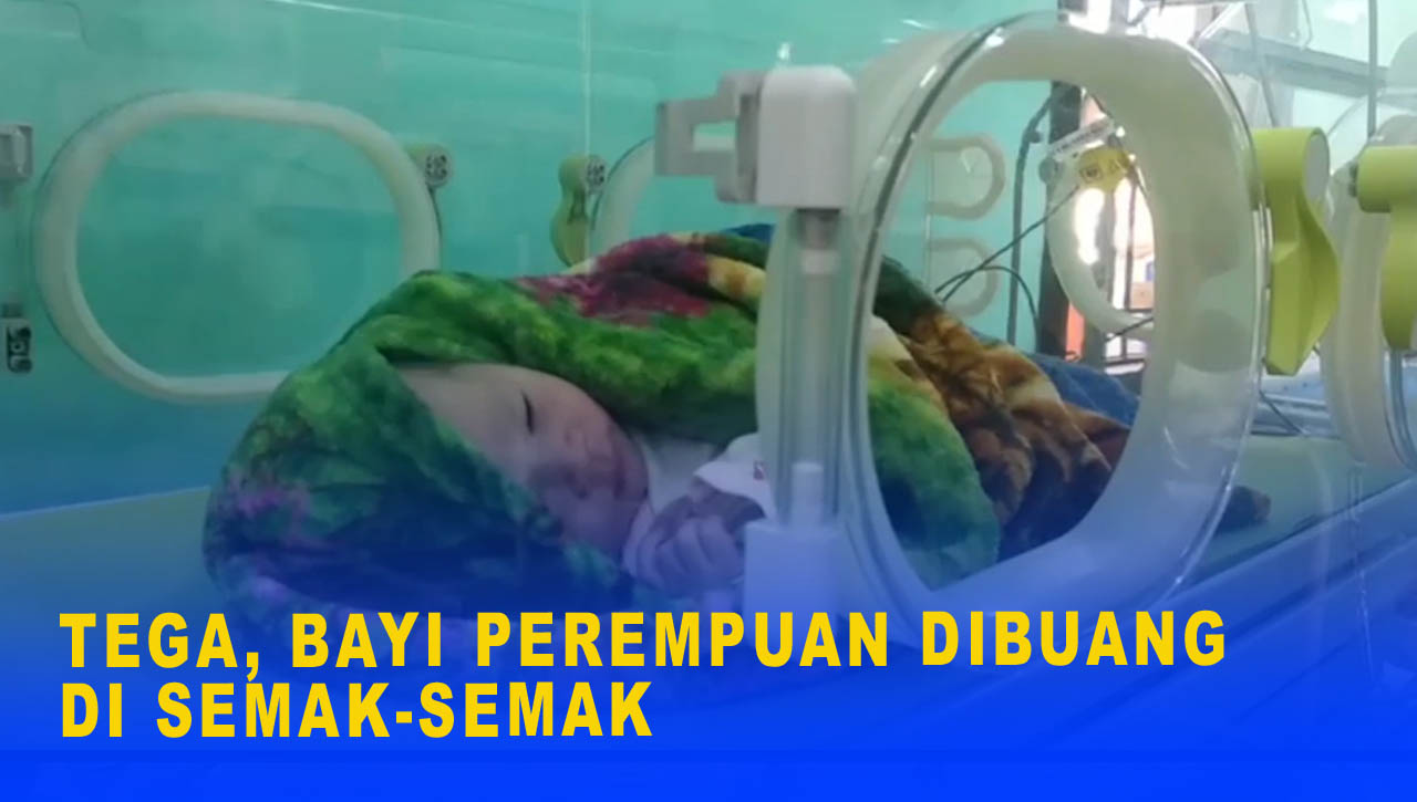 TEGA, BAYI PEREMPUAN DIBUANG DI SEMAK SEMAK